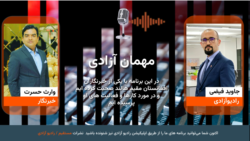 مهمان آزادی 