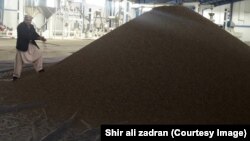 آرشیف: عکس جنبه تزئینی دارد