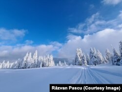 Pârtie din România, Harghita - Mădărași