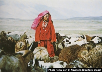 Біреудің аузынан сүйген видеосы