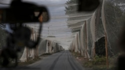 Antidron mreža koja pokriva jednu ulicu u ukrajinskom gradu Kostjantinivka, koji se nalazi na liniji fronta. 29. septembar 2025.