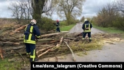 Напередодні було відомо про двох загиблих внаслідок падіння дерев через негоду