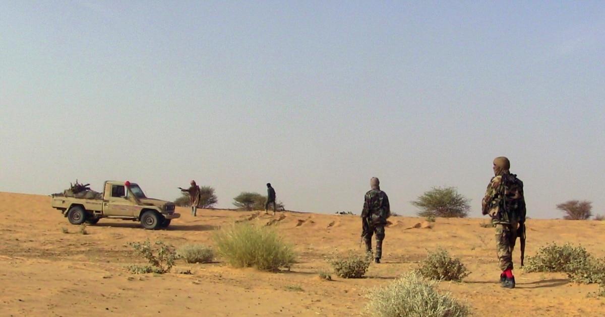 მალიში თავდასხმებია, არმია აცხადებს მასშტაბურ ოპერაციებზე