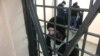 31 января в Поволжье. 16:00 МСК: Акции в городах Средней Волги завершились, но задержания продолжаются 