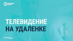 В эфире дети и животные. Как работается ТВ-журналистам из дома