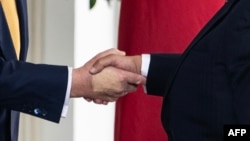 تغییر رنگ روی دست دونالد ترامپ حین میزبانی او از ولیعهد بحرین در کاخ سفید خبرساز شده بود