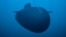 Russia's Poseidon nuclear-capable underwater system / Russian Defense Ministry handout animation picture via Reuters