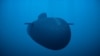 Russia's Poseidon nuclear-capable underwater system / Russian Defense Ministry handout animation picture via Reuters