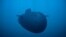Sistemul subacvatic cu capacitate nucleară Poseidon al Rusiei. Imagine publicată de ministerul rus al Apărării, preluată de Reuters.
