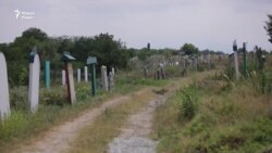 ТIаьххьара некъ. Мел генахь велларг а Даймахкахь дIаверзаво нохчаша