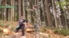 Куди діваються гектари столітніх дерев у лісах Прикарпаття? (відео)