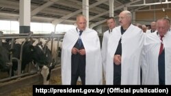 Лукашэнка падчас рабочай паездкі ў Берасьцейскую вобласьць