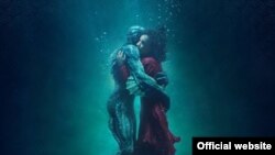 پوستر شکل آب