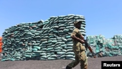 FILE PHOTO: A Somalian soldier walks past a consignment of charcoal destined for the export market in Barawe October 12, 2014. REUTERS/Feisal Omar (SOMALIA)/File Photo