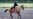 Turkmenistan: A Land Of Health And Happiness...And Horses
