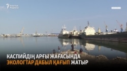 Экологтар Каспийдің болашағына алаңдайды
