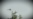 VIDEO GRAB from the video "Ukrainian Drones Return To St. Petersburg As Russia’s Investment Forum Ends" - Telegram/SUPERNOVA_PLUS