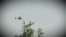 VIDEO GRAB from the video "Ukrainian Drones Return To St. Petersburg As Russia’s Investment Forum Ends" - Telegram/SUPERNOVA_PLUS