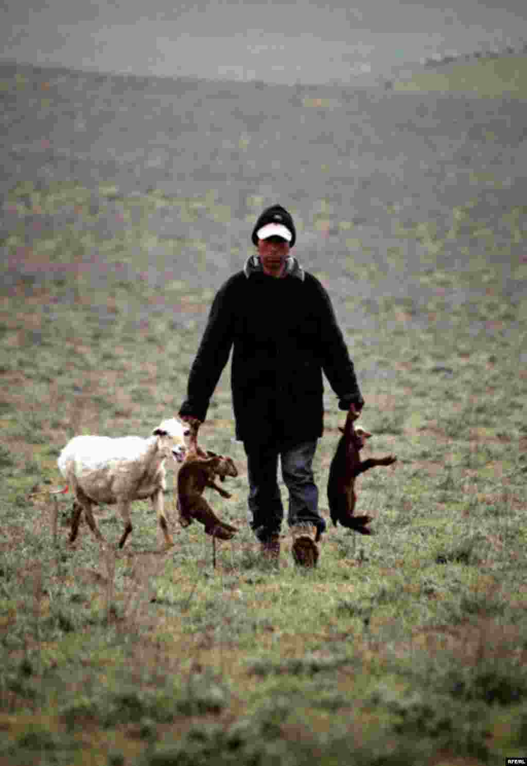 Кавказ тауларындагы борынгы Хыналык авылы #18