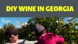DIY Wine In Georgia