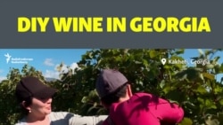 DIY Wine In Georgia