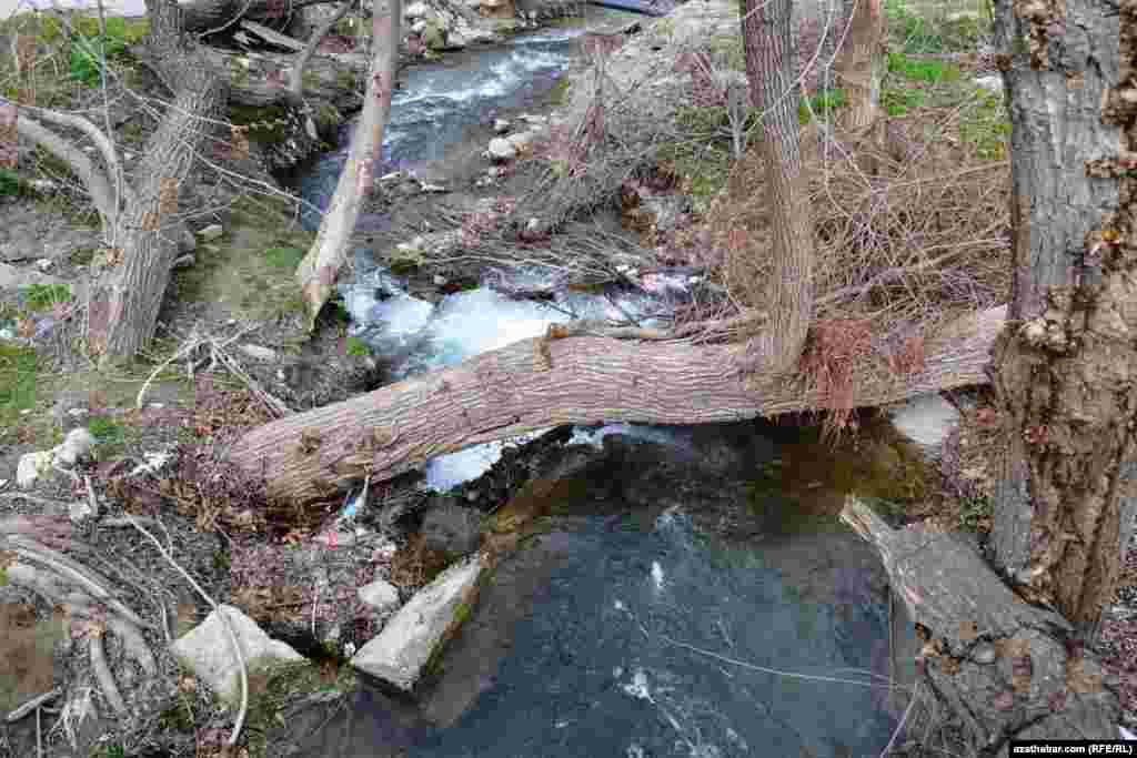 &Ccedil;&uuml;lid&auml;ki &ccedil;eşme