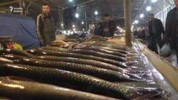 Balığın qiyməti kəllə-çarxa çıxıb