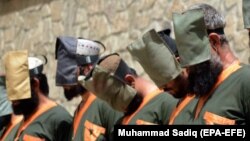 آرشیف، عکس جنبه تزئینی دارد