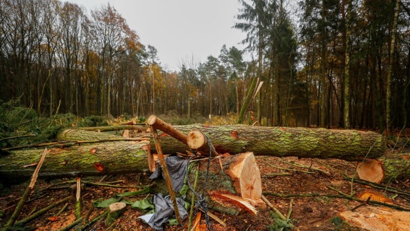 Lideri din peste 70 de țări participă online la un summit pentru a marca cea de-a cincea aniversare a acordului climatic de la Paris 