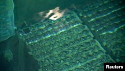 “ФОТОН” заводидаги реакторда қолаётган 30 литр ёнилғи таркибида 5000 грамм 90 фоизга бойитилган уран бор.