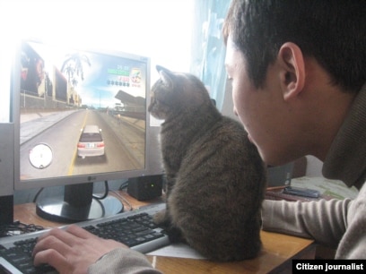 Онлайн порно көру Эшли Брукс