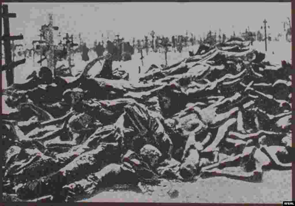 2008-ий у фотографіях, голосах і звуках #82