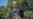 Օբամա․ «Սիրիայի ընդդիմությունը չէր կարող քիմիական զենք կիրառել»