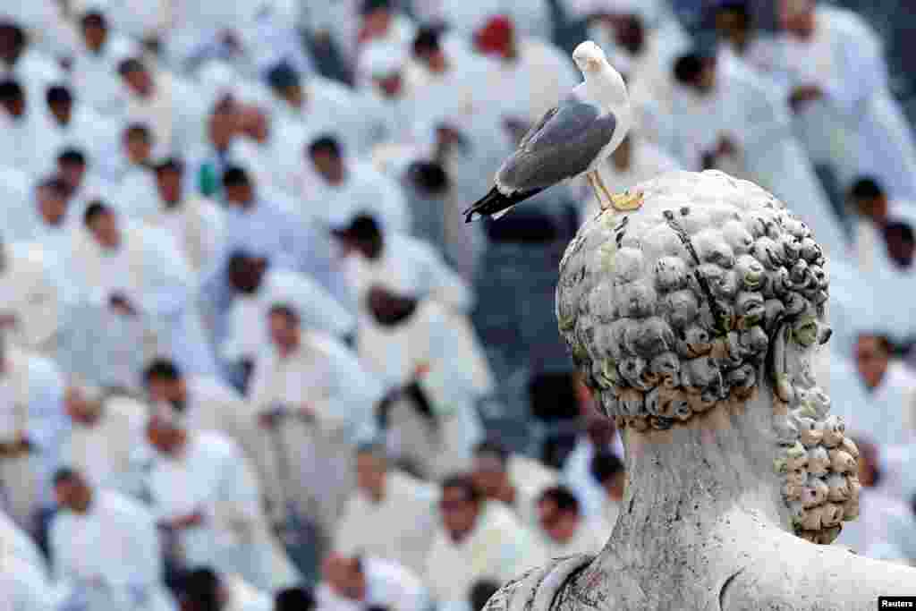 A seagull stands on a statue of Saint Peter as Pope Francis says mass at the Vatican on June 3. (Reuters/Alessandro Bianchi)