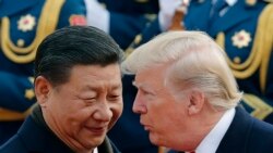 Кытайдын лидери Си Цзинпинь менен АКШнын президенти Дональд Трамп.