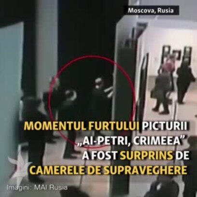 Cel mai relaxat furt de artă prins pe video