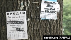 Афтидан¸ Тошкент дарахтларига ëпиштириладиган эълонлар қати яна қалинлашади.