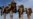 Pentagon Says Afghan Withdrawal Proceeding Steadily