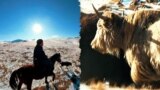 Kyrgyzstan - Yaks video cover