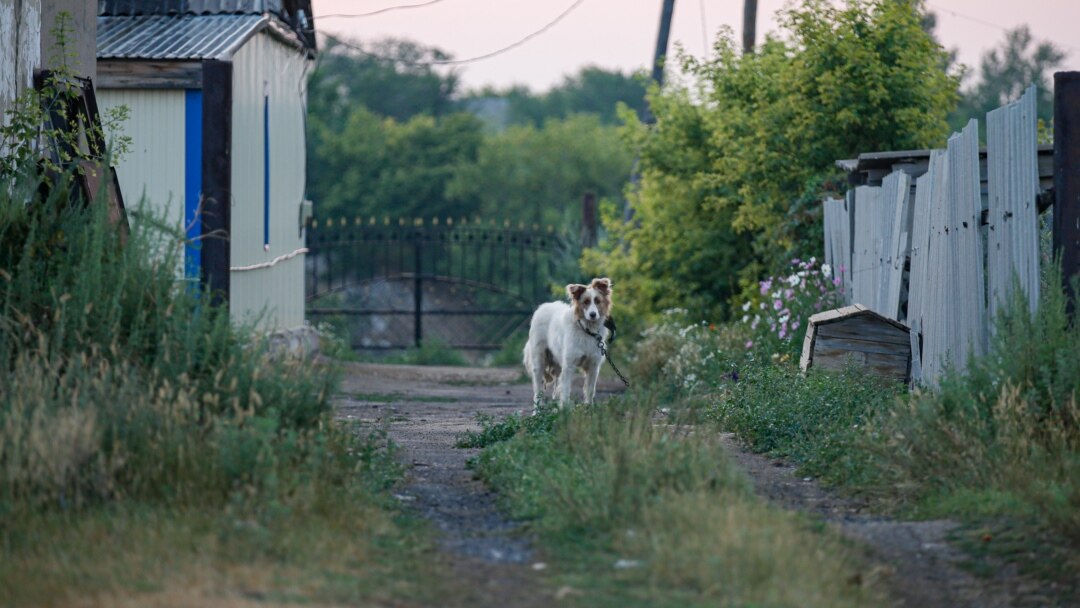 Татуировка порно көру Ең сексуалды кискалар