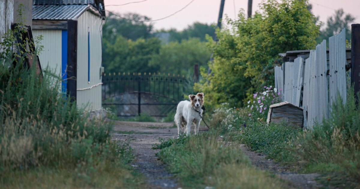 Глюкоза, әнші, минет фотосы