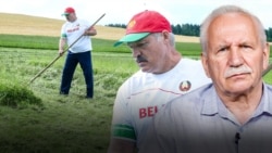 Ілюстрацыйная выява