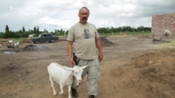 Как воин АТО стал фермером и разводит коз (видео)
