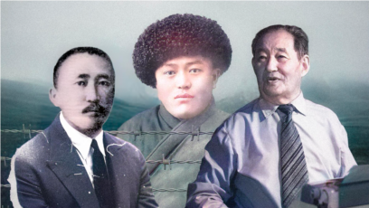 Иттің жыныс мүшесі қынапқа кіріп кеткен