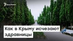 Прощай, «Юность». Как в Крыму исчезают здравницы | Доброе утро, Крым