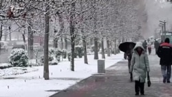 OZODNEWS: Метанга навбат километрларга чўзилди | Украинага босқин: 1398-кун