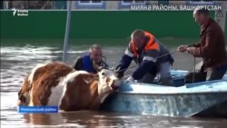 Татарстан һәм Башкортстанны су баса