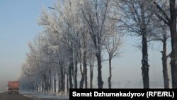 Кыш.