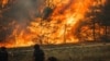 Ukraine -- Donetsk region, forest fire, July 2025
