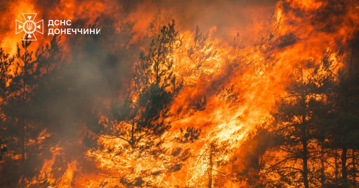 Рятувальники Донеччини ліквідували масштабну лісову пожежу за шість днів